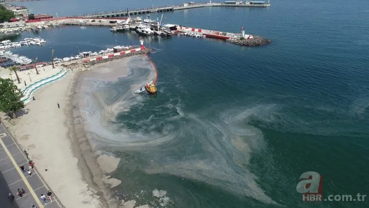 Marmara'da müsilaj seferberliği! Sevindiren görüntüler!