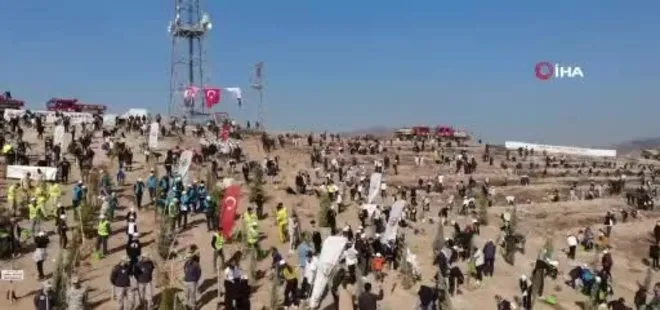 15 Ağustos'taki yangının ardından İzmir'de ilk fidanlar toprakla buluştu