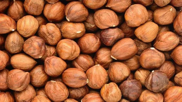 FINDIK FİYATLARI 2023🌰 13 Şubat fındık fiyatları ne kadar, kaç TL oldu? Giresun, Ordu, Düzce, Samsun güncel fiyat listesi!