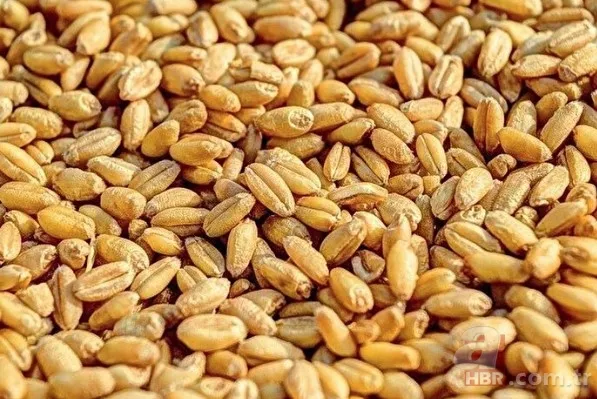 Kilo vermek isteyenler dikkat! Bu besinler metabolizmayı hızlandırıyor! İşte kilo verdiren yiyecekler 12