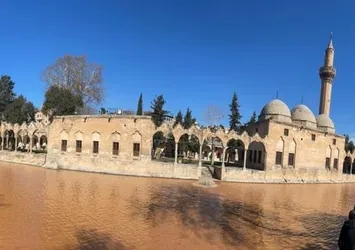 Balıklıgöl de depremden etkilendi! Suyun rengi çamura döndü balıklar tepki vermiyor
