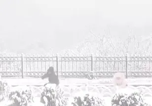 İstanbul'da öğleden sonra yoğun kar alarmı