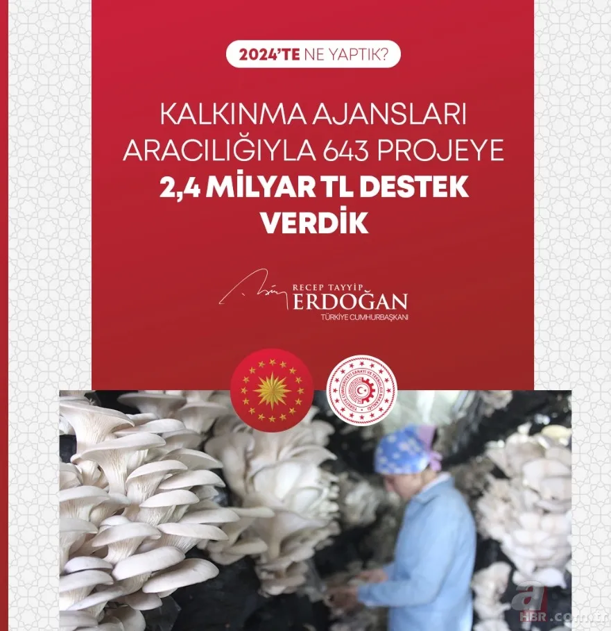 Başkan Erdoğan'dan 2024 değerlendirmesi: Hizmet ve projeleri tek tek sıraladı 12