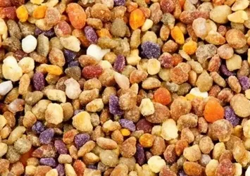 Yaraları iyileştiren mucize besin! Doğal kolajen kaynağı...
