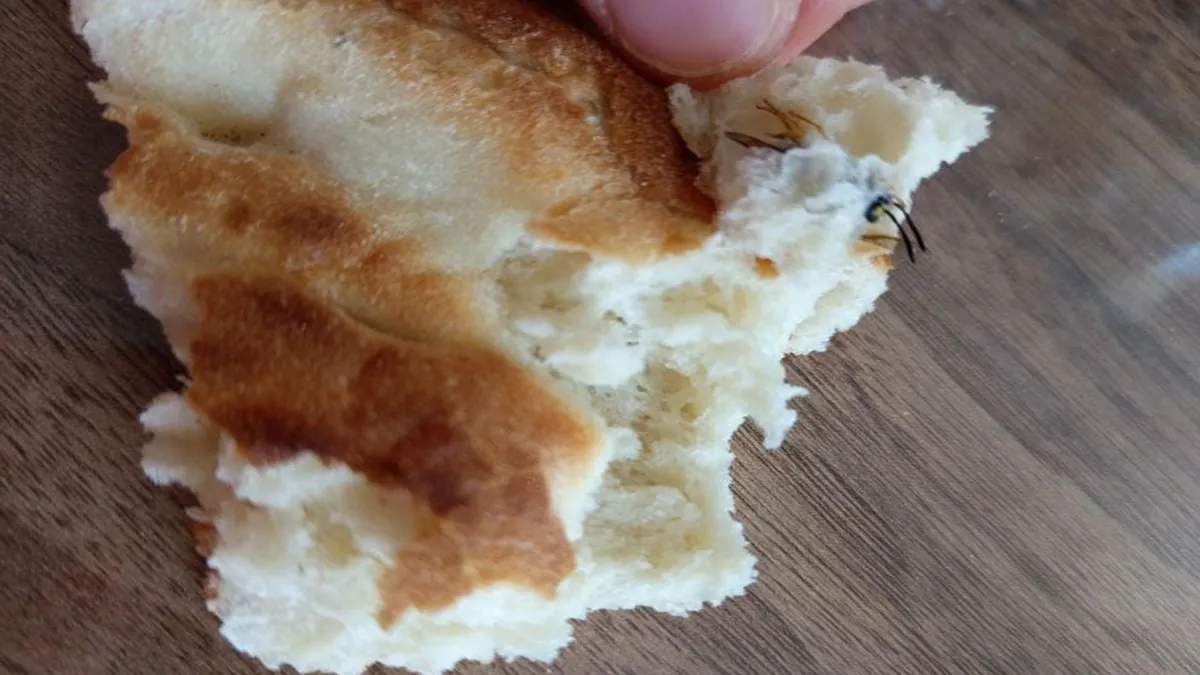 Ekmeğin içinden arı çıktı