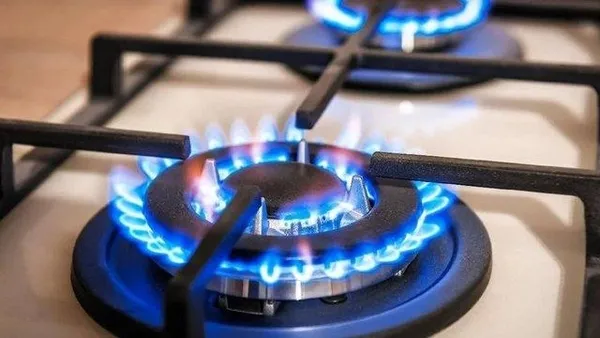 1645155235882.jpeg Doğalgaz desteği başladı! 4 milyon hane destekten yararlanacak | Doğalgaz desteği başvuruları nereden, nasıl yapılır? - 7