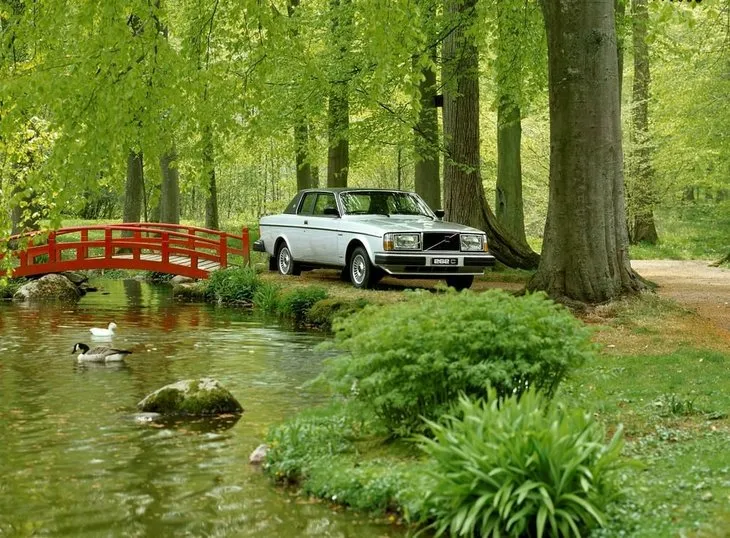 1977 Volvo 262C Bertone Coupe