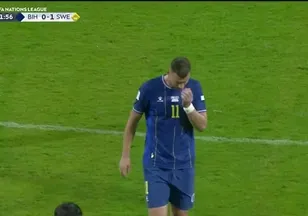Dzeko'dan milli takıma hüzünlü veda