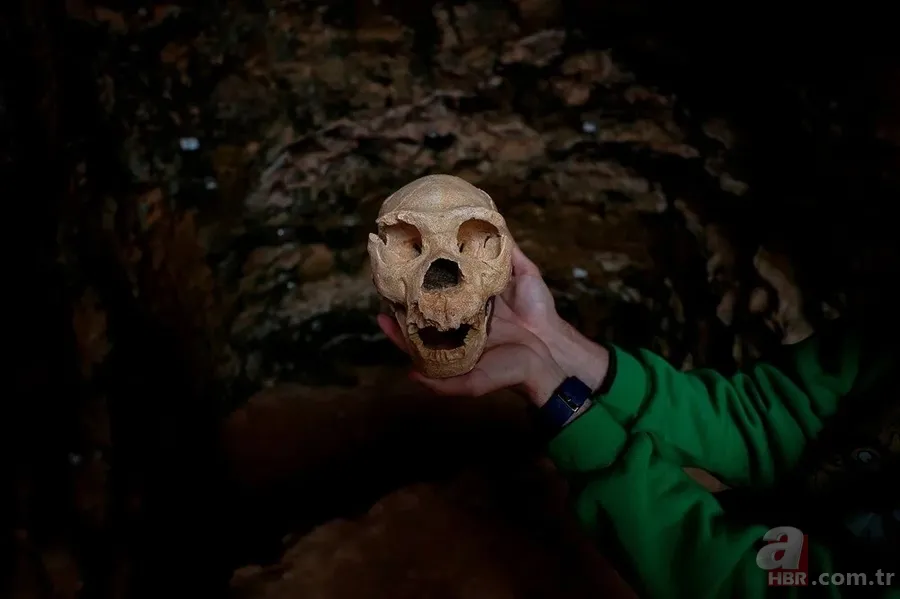 Dünya tarihini değiştirecek keşif! 1,4 milyon yaşında 5