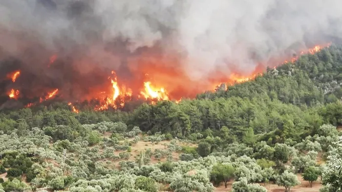 Son dakika: Aydın ve Karabük'te orman yangın - 1