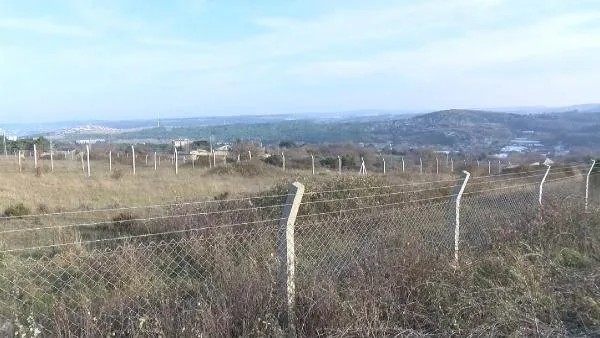 Başkan Erdoğan mahallelinin isteğini geri çevirmedi! Harekete geçildi