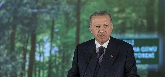 AK Parti harekete geçti! Enerjik yasa TBMM’ye geliyor! Dikkat çeken TOGG detayı