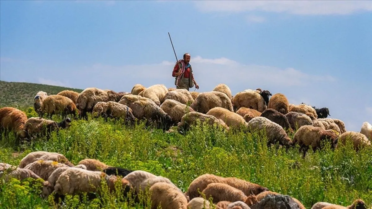 Muş'ta çobanlara ekipman çantası dağıtıldı
