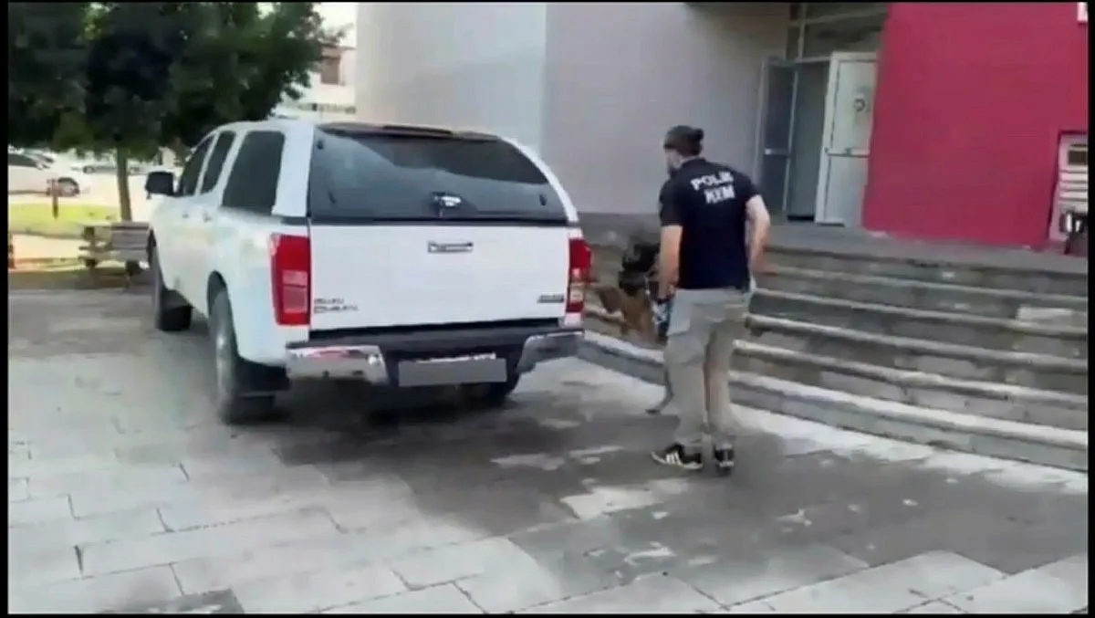 İçişleri Bakanı Ali Yerlikaya: 208 kişi 'Narkogüç' operasyonunda yakalandı