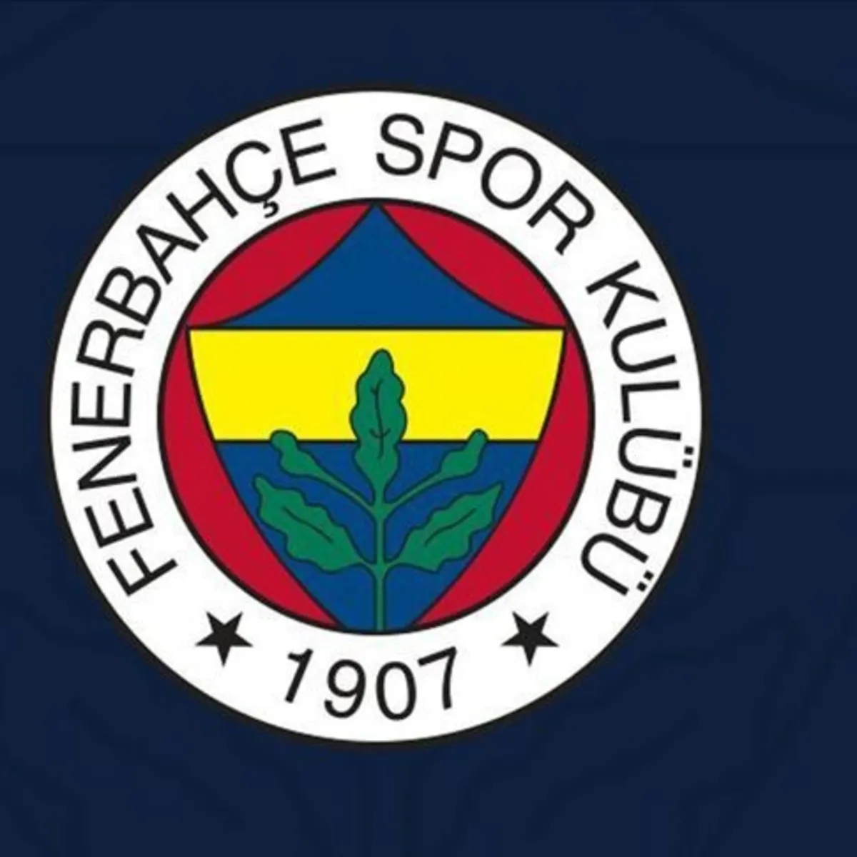 Fenerbahçe yeni yönetim görev dağılımını açıkladı: Başkanvekili, genel sekreter ve futbol yapılanmasının sorumluları belirlendi