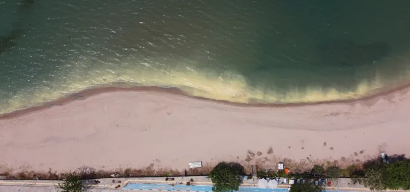 Son dakika: Karadeniz'de şaşırtan görüntü! Nedeni belli oldu