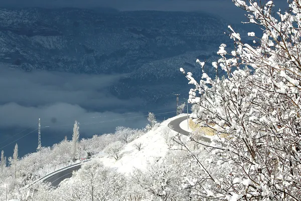 2 gün boyunca kar yağacak! Meteoroloji kar yağacak illeri açıkladı! - 1