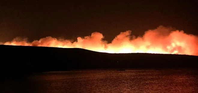 İzmir’de otluk alanda yangın çıktı