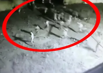Brezilyalı mahkumların hapishaneden filmleri aratmayan kaçışı