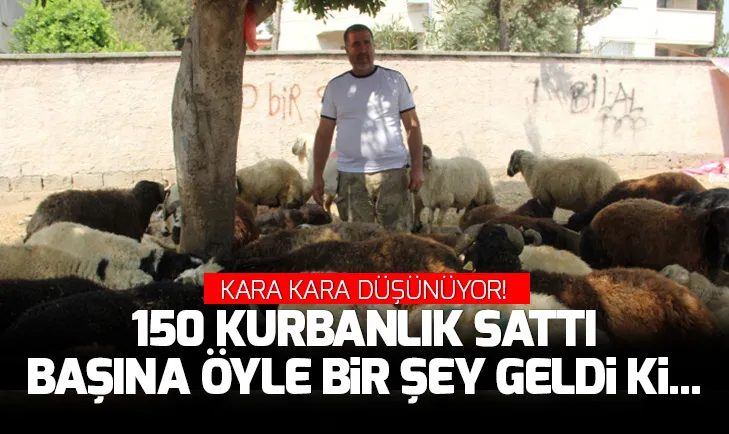 150 kurbanlık sattı! Şimdi kara kara düşünüyor...