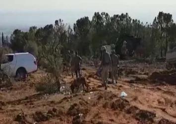 Burseya Dağı'nda temizlik başladı