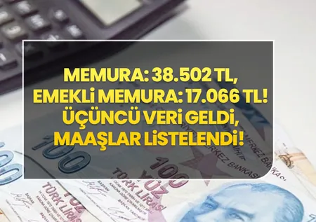 Üçüncü veri geldi, maaşlar listelendi! Zamlı aylık hesabı yenilendi! Memura: 38.502 TL, Emekli Memura: 17.066 TL