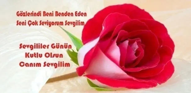 Sevgiliye, eşe, nişanlıya, sözlüye sevgililer günü mesajları-sözleri! Erkeğe kadına romantik, duygusal 14 Şubat sevgililer günü mesajları...