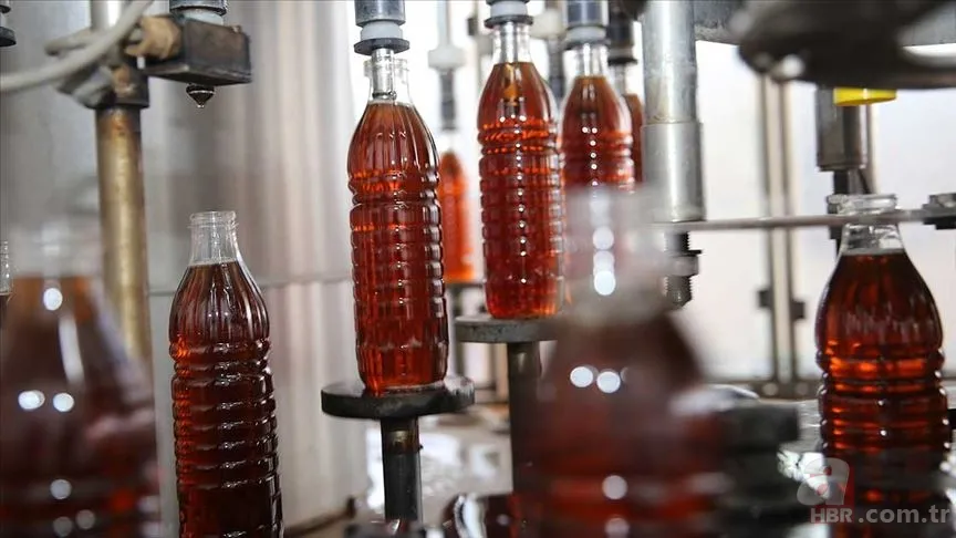 Eski eşyaları sakın atmayın! Yılların pasını söküp atan o yöntem: Kesip üstüne sürün 2