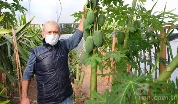 İspanya'da tadına baktı Mersin'e getirdi! Bir sezonda kazandığı para şaşırttı! Paraya para demiyor... 8