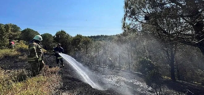 İstanbul Sultangazi’de ormanlık alanda çıkan yangın söndürüldü!