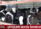 Çiftçilere destek ödemeleri başladı mı?