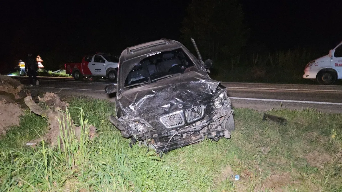 Bursa'da katliam gibi kaza! 3 kişi hayatını kaybetti | Alkollü sürücü çalıların arasında saklanırken bulundu