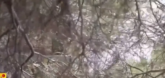 Hizbullah İsrail tankını vurdu! Lübnan-İsrail sınırında merkava tipi iki tank hedef alındı