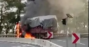 Tomruk yüklü TIR alev alev yandı