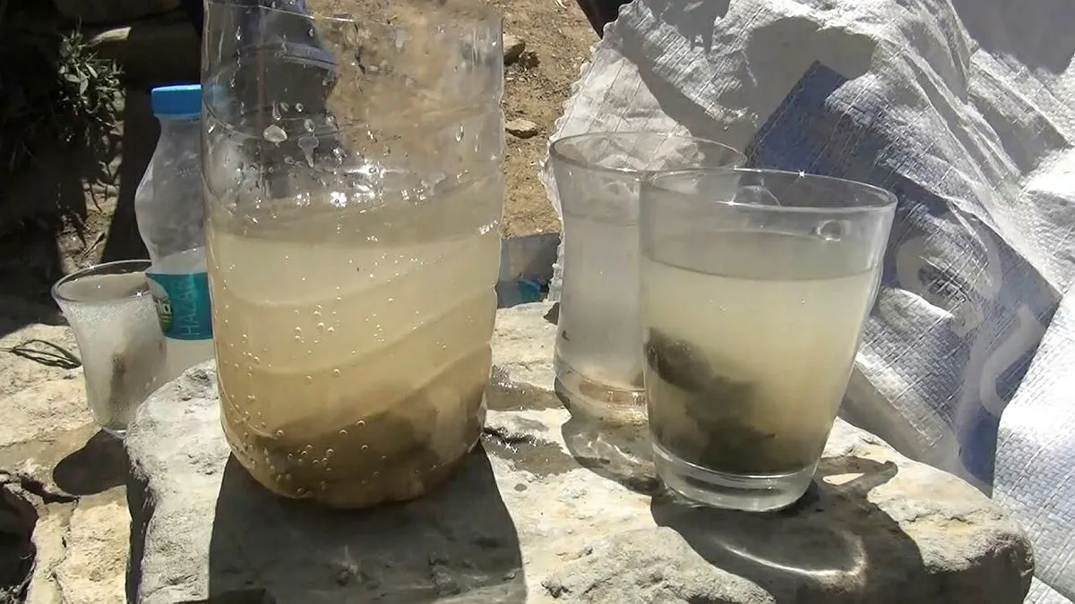Muş'ta şifalı su olarak bilinen yer mikrop yuvası çıktı