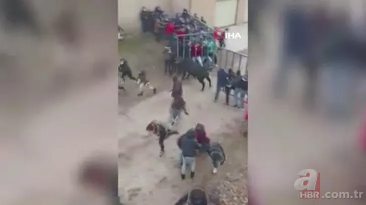 Kızgın boğa demir bariyerleri yıktı seyircilerin arasına daldı! Dehşet anları kamerada