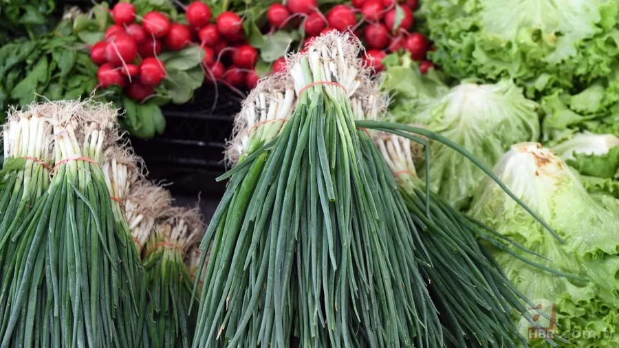 Tüm bildiklerinizi unutun! TDK bir çok sözcüğün yazımında değişikliğe gitti 11