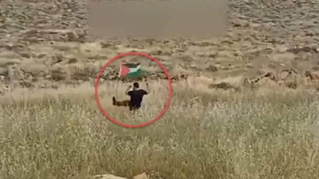 Filistin bayrağını tekmelerken havaya uçtu! Bubi tuzağı böyle avladı | İşte saniye saniye o anlar