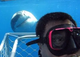 Selfie uğruna bunu da yaptılar!