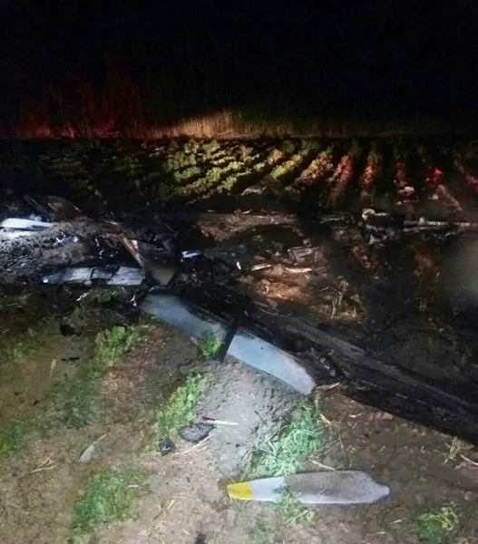 Adana'da ABD'ye ait insansız hava aracı düştü - 1
