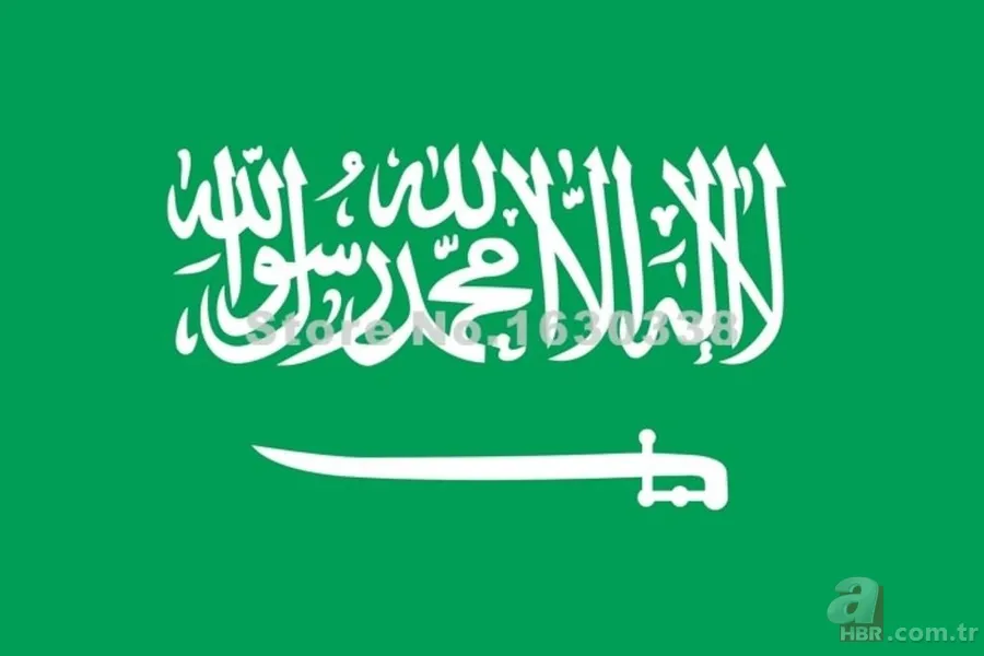 Hangi ülkenin Musul'da ne çıkarı var? 6