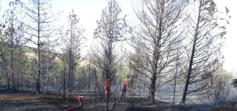 Kütahya’daki orman yangını kontrol altına alındı