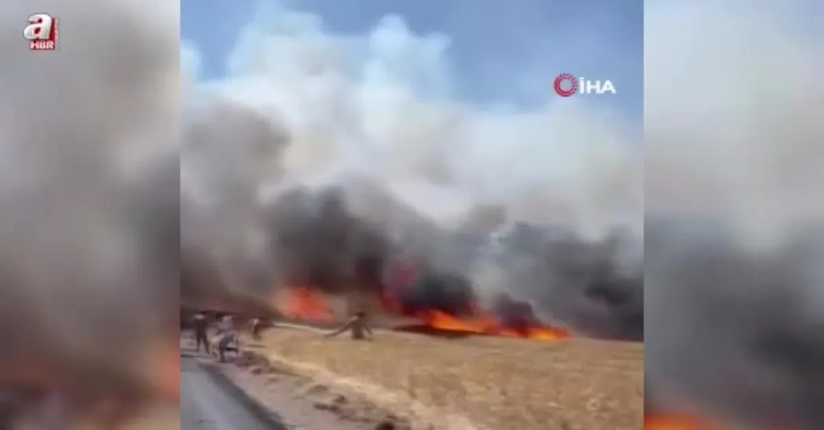 Tarım arazisinde yangın çıktı