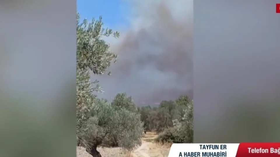 Çeşme’de orman yangını çıktı