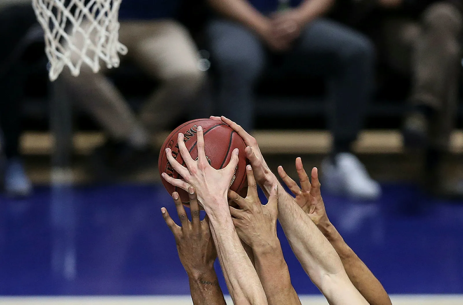 Basketbola koronavirüs engeli! Maccabi FOX - Anadolu Efes maçı seyircisiz oynanacak