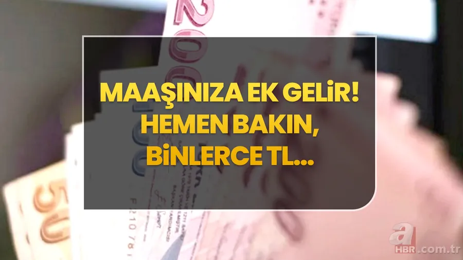 Maaşınıza Ek Gelir! E-Devlet'te Sizi Bekleyen Parayı Keşfedin! Hemen Bakın, Binlerce TL... 1