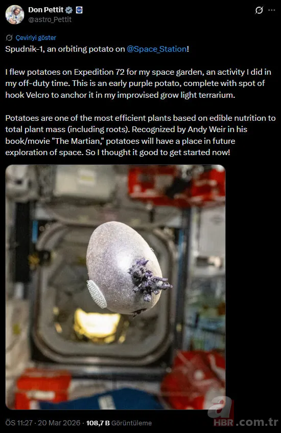 Uzay istasyonundaki dokunaç görüntüsü ne? Gerçek ortaya çıktı 3