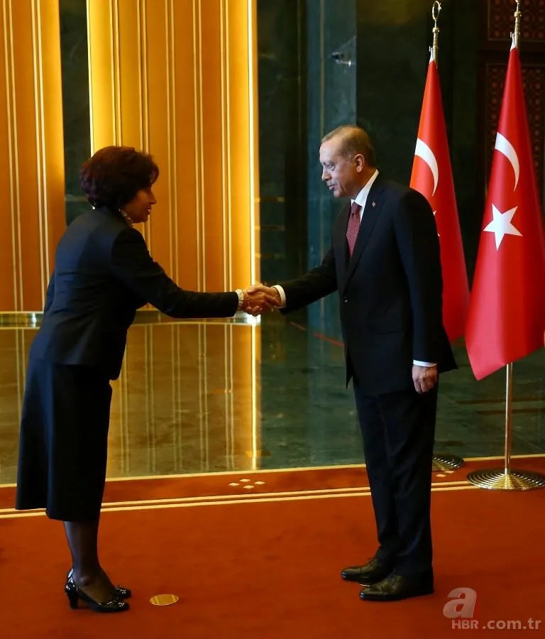 Cumhurbaşkanlığı Sarayı'ndaki tebrik törenine Devlet Bahçeli ilk kez katıldı 5