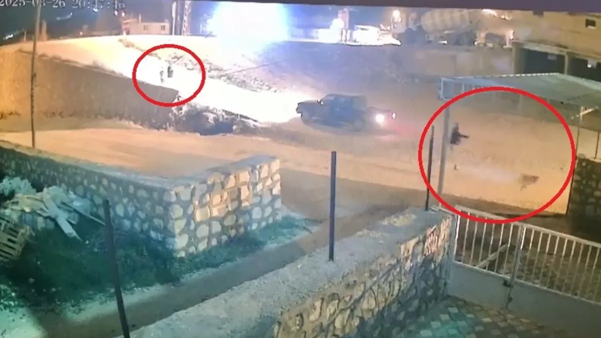 Hatay’da şok olay! Aracına havlayan köpeği kurşun yağdırdı