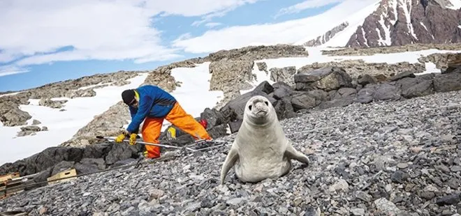 Antarktika’da Türk üssünün bulunduğu adanın adı nedir? 2019 KPSS Antarktika sorusu yanıtı!